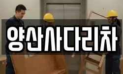 경상남도 양산시 신기동 이사,용달이사,포장이사,원룸이사,보관이사