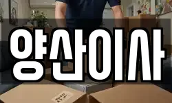 양산이사