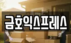 금호익스프레스