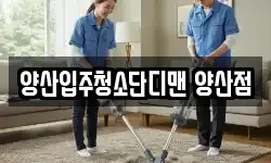 양산입주청소단디맨 양산점