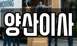 경상남도 양산시 중부동 이사,용달이사,포장이사,원룸이사,보관이사