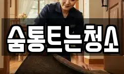 숨통트는청소