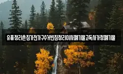 유품정리촌집가전가구수거빈집정리이사폐기물고독사가정폐기물