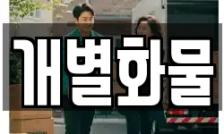 개별화물