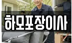 하모포장이사