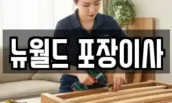 뉴월드 포장이사