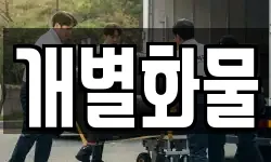 개별화물