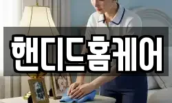 핸디드홈케어