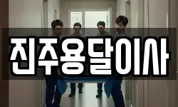 진주용달이사