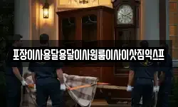 포장이사용달용달이사원룸이사이삿짐익스프