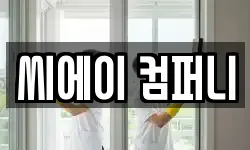 씨에이 컴퍼니