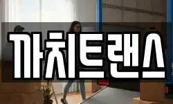 까치트랜스