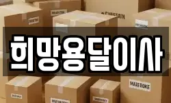 희망용달이사