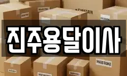 진주용달이사