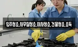 입주청소,사무실청소,이사청소,건물청소,소독
