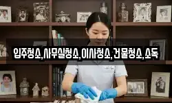 입주청소,사무실청소,이사청소,건물청소,소독