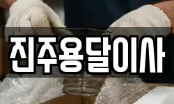 진주용달이사