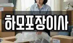 하모포장이사