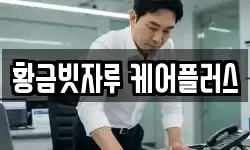 황금빗자루 케어플러스