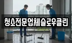 청소전문업체슬로우클린