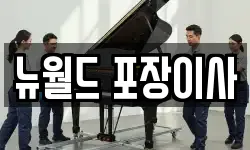 뉴월드 포장이사