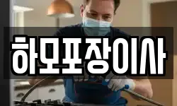 하모포장이사
