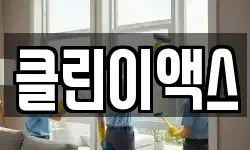 클린이액스