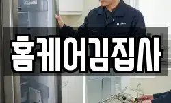 홈케어김집사