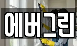 에버그린
