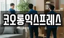 코오롱익스프레스