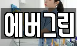 에버그린