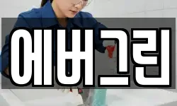 에버그린