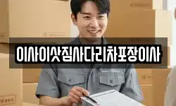 이사이삿짐사다리차포장이사