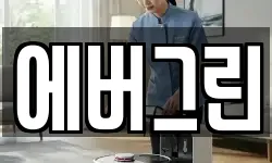 에버그린