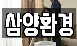 삼양환경
