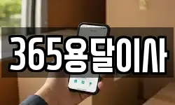 365용달이사