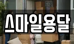 스마일용달