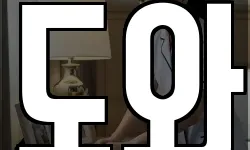 도와