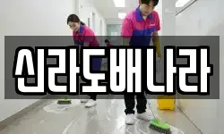신라도배나라