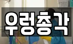 경상남도 창원시 마산합포구 월남동5가 청소,입주청소,사무실청소,에어컨청소