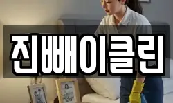 진빼이클린