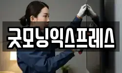 굿모닝익스프레스