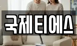 국제티에스