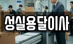 성실용달이사