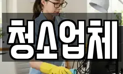 청소업체