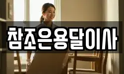 참조은용달이사