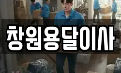 창원용달이사