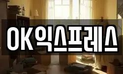 OK익스프레스