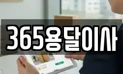 365용달이사