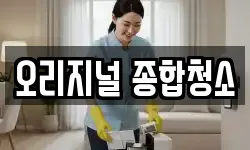 오리지널 종합청소